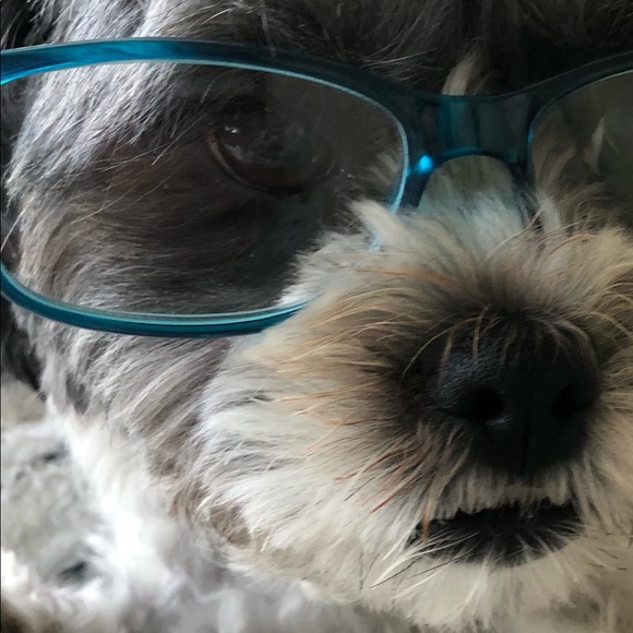 Live Show Notification - Or just stop by for some shares & hot cocoa ☕️ - Picture 3 of 15